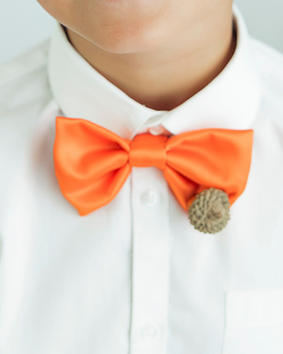 Papion Portocaliu de Toamnă, cu ghindă