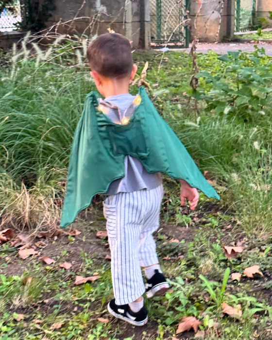 Aripi de Dragon / Dinozaur, cu luminițe, de Halloween / Carnaval