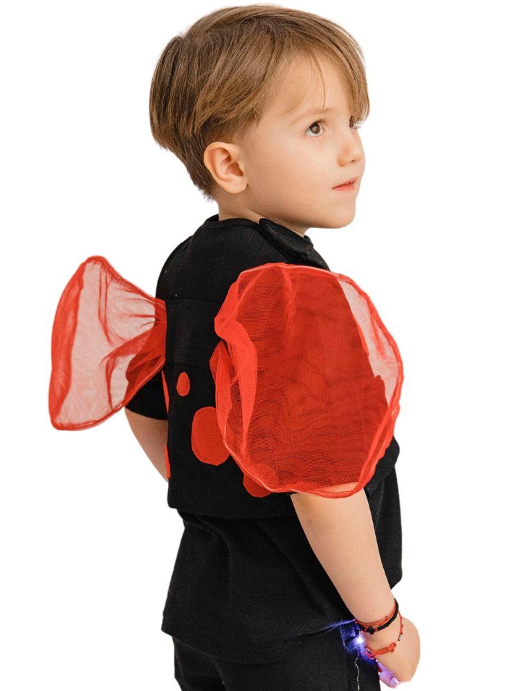 Ladybug Vest, for Boys 