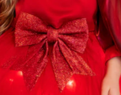 accesoriu: Fundiță Rosie